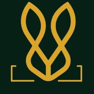 Bold Bunny