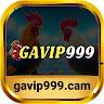 Nh&agrave; C&aacute;i Gavip999