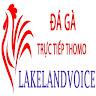Đ&aacute; G&agrave; Trực Tiếp Thomo