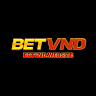 Betvnd Website
