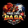 Trực Tiếp Đ&aacute; G&agrave;