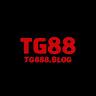 Tg888 Blog