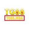 Tg88 Mba
