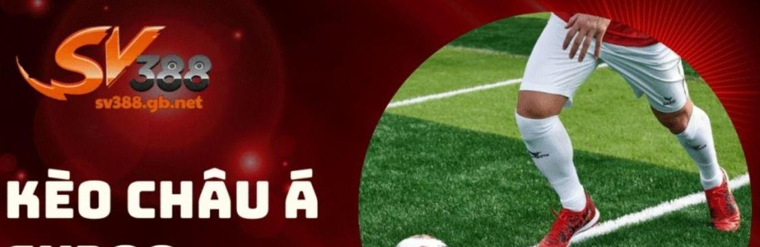 Nh&agrave; C&aacute;i  SV388