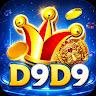 D9d9 Net