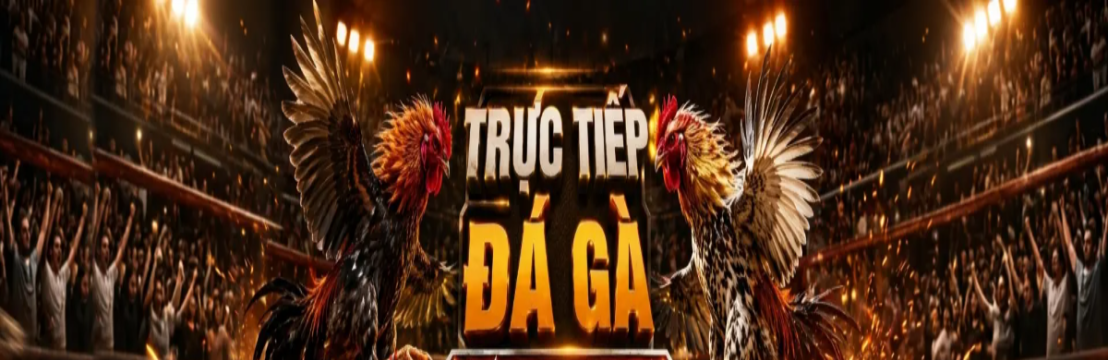 Tructieptonhon Net