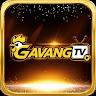 Gavangtvs1 Com